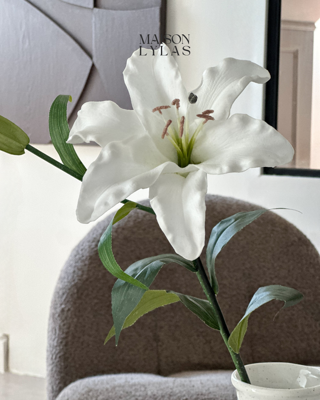 Lys blanc