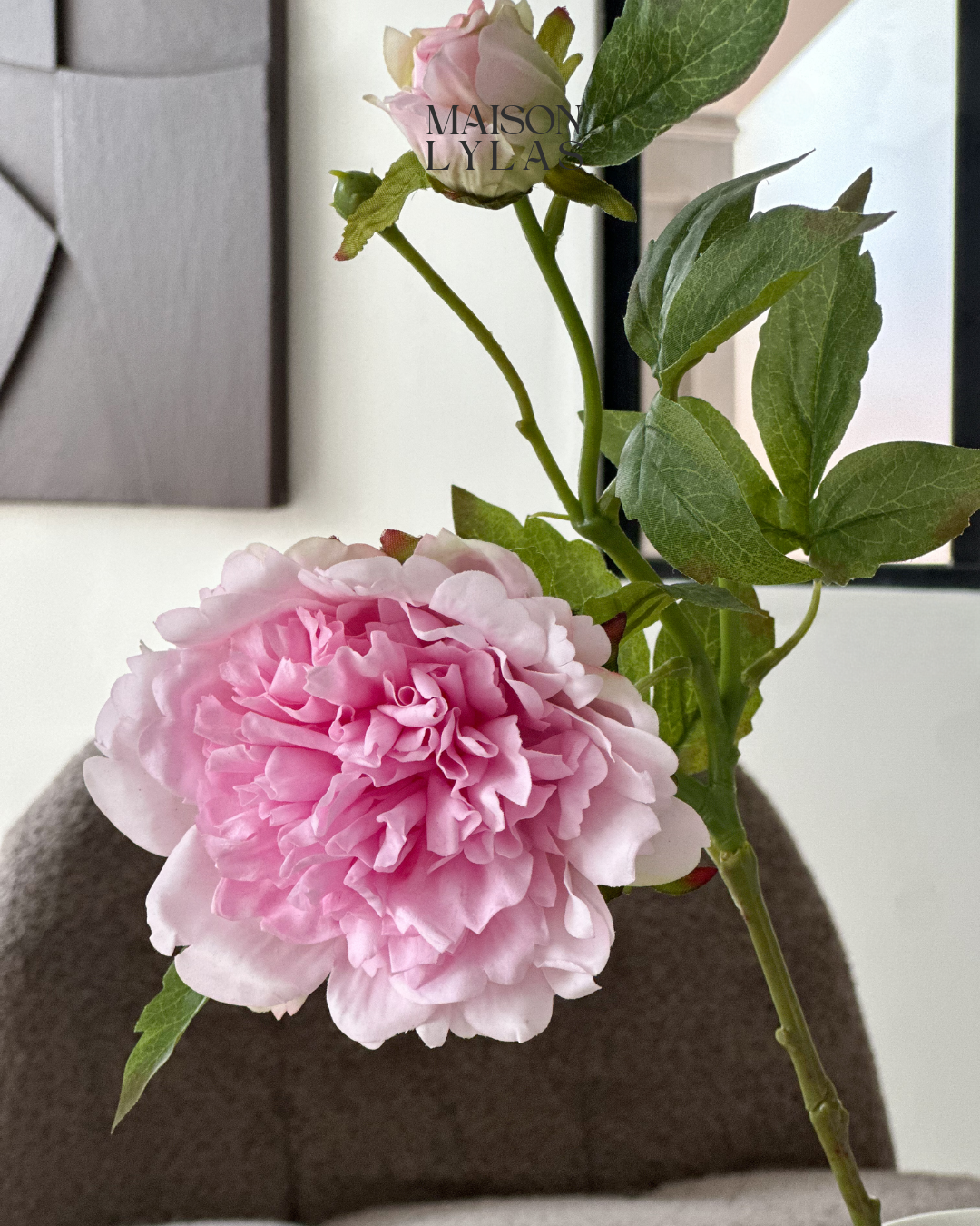 Pivoine rose
