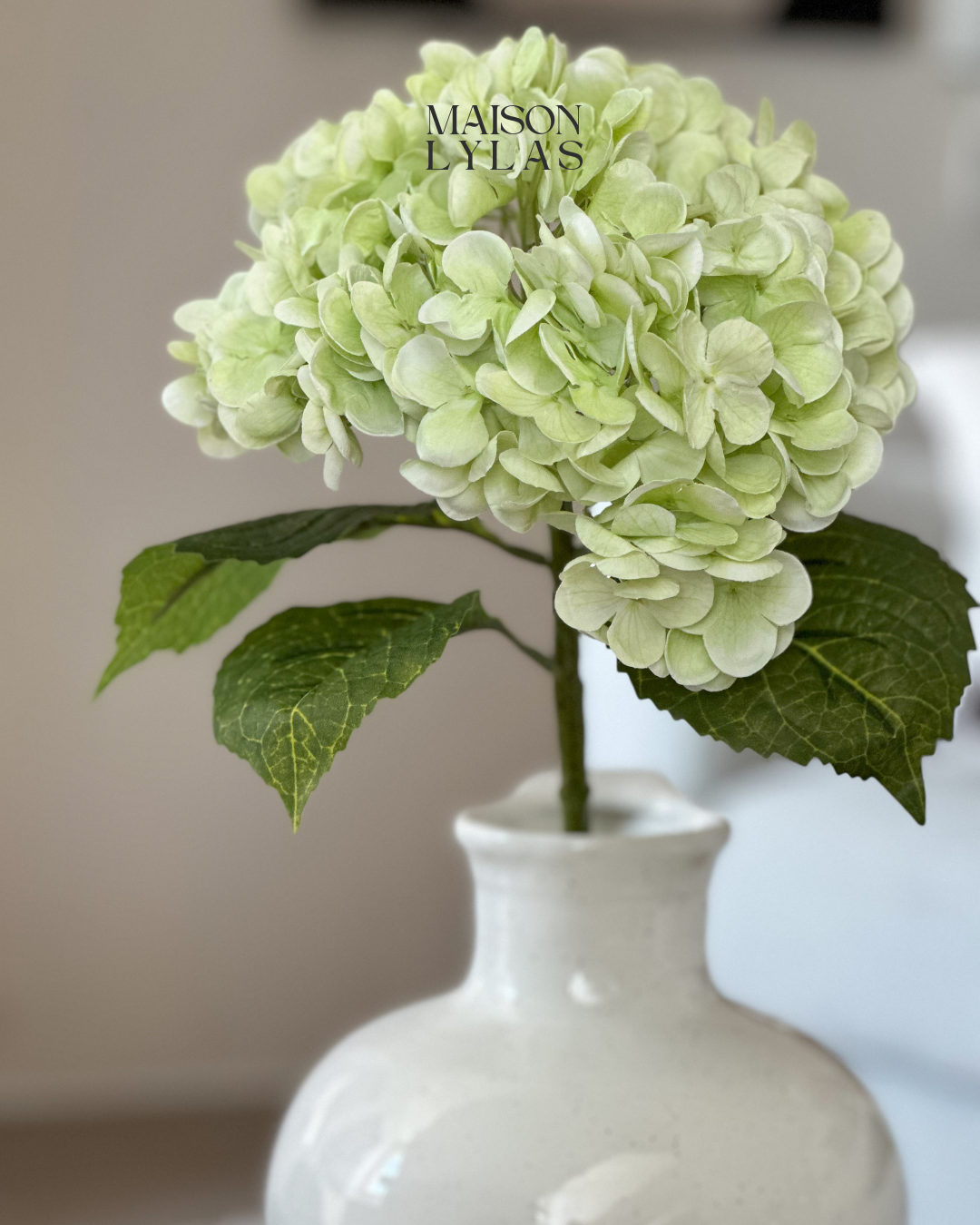 Hortensia